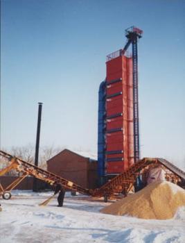 200T/D���׺����